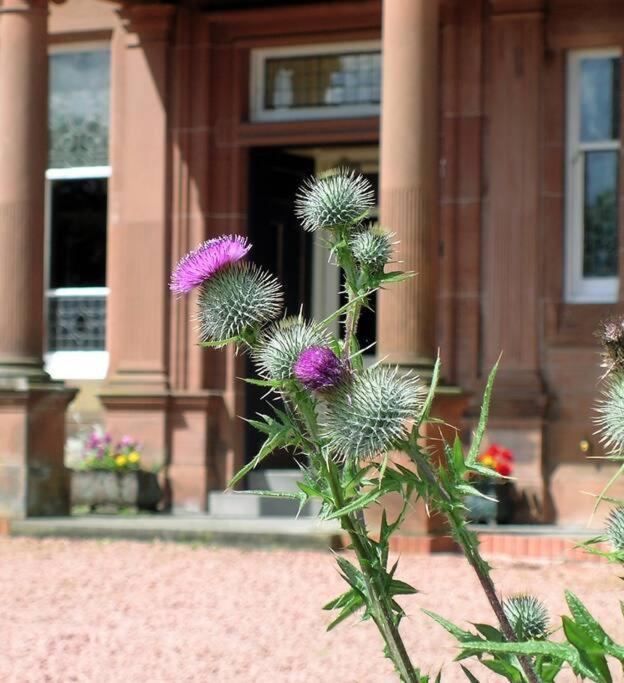 Toftcombs Mansion House Villa บิกการ์ ภายนอก รูปภาพ